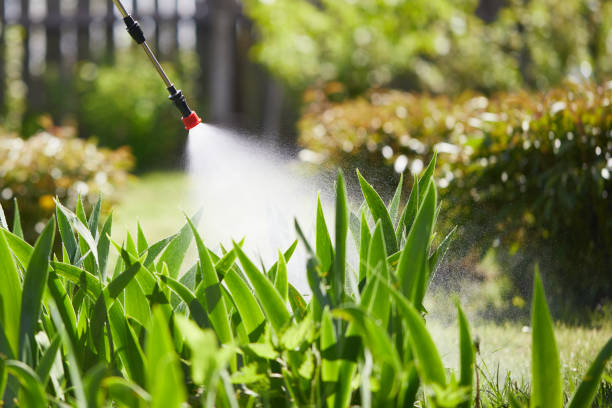 Void Injection for Cockroach Colonies in Clay